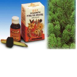 PINO SILVESTRE OLIO ESSENZIALE PURO 10 ML - Antica Farmacia Ferrari