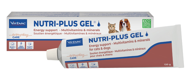 NUTRIPLUS GEL PASTA ORALE 120 G - Antica Farmacia Ferrari
