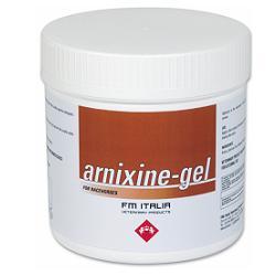 ARNIXINE GEL 750ML - Antica Farmacia Ferrari