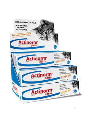 ACTINORM PASTA GATTI 65G - Antica Farmacia Ferrari