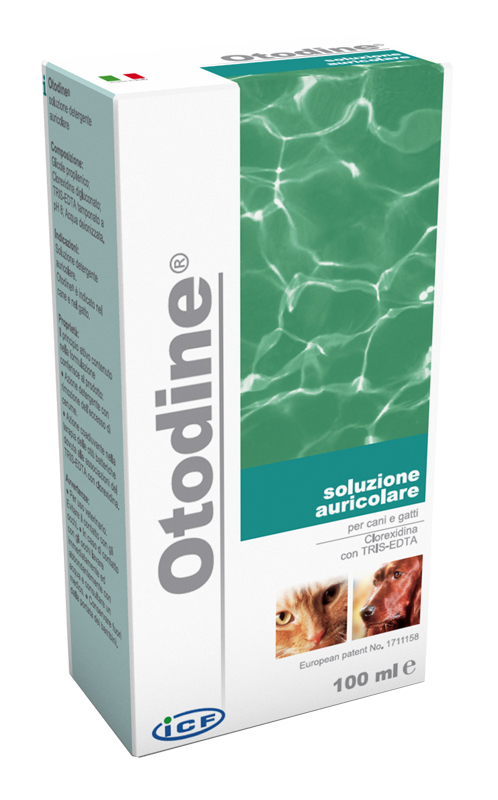 OTODINE DET LIQ 50ML - Antica Farmacia Ferrari