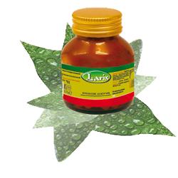 PAPAYA FERMENTATA 60 CAPSULE - Antica Farmacia Ferrari
