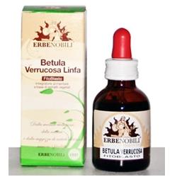 FITOBLASTO BETULLA VERRUCOSA LINFA 50 ML - Antica Farmacia Ferrari