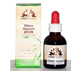 FITOBLASTO RIBES NIGRUM 50 ML - Antica Farmacia Ferrari