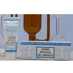 RICETTE DEL DOTTOR PIGNACCA ARTIGLIO DEL DIAVOLO CREMA 75 ML - Oltrefarma