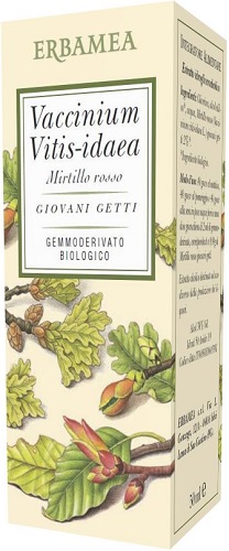 VACCINIUM VITIS IDAEA MIRTILLO ROSSO BIO 50 ML - Antica Farmacia Ferrari