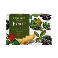 FORTE 24 CAPSULE - Antica Farmacia Ferrari