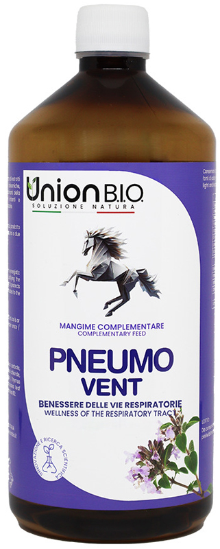 PNEUMO VENT 1 LITRO - Oltrefarma