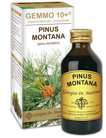 GEMMO 10+ PINO MONTANO 100 ML LIQUIDO ANALCOLICO - Antica Farmacia Ferrari