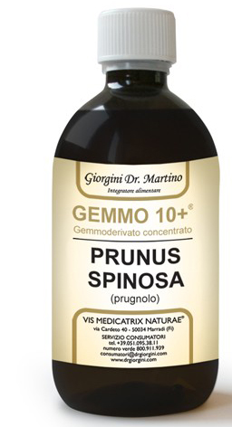 GEMMO 10+ PRUGNOLO 500 ML LIQUIDO ANALCOLICO - Antica Farmacia Ferrari