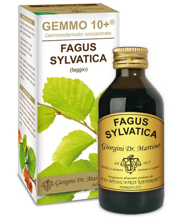 GEMMO 10+ FAGGIO 100 ML LIQUIDO ANALCOLICO - Oltrefarma