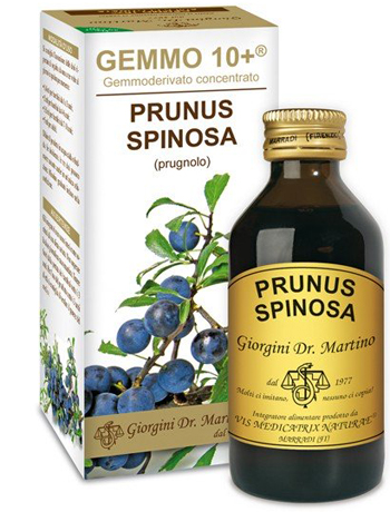 GEMMO 10+ PRUGNOLO 100 ML LIQUIDO ANALCOLICO - Antica Farmacia Ferrari