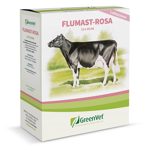 GREENVET FLUMAST ROSA DERM 12 SIRINGHE DA 10 ML - Oltrefarma