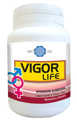 VIGOR LIFE 40 CAPSULE - Antica Farmacia Ferrari