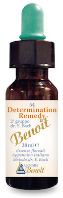 DETERMINATION REMEDY 28 ML - Antica Farmacia Ferrari