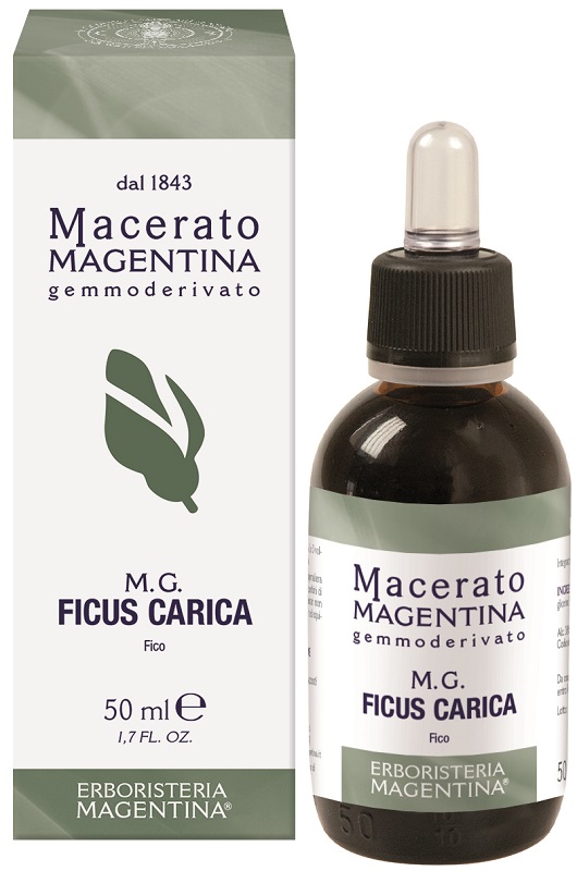 FICUS CARICA MACERATO MAGENTINA 50 ML - Oltrefarma