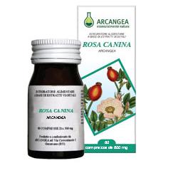 ROSA CANINA 60 CAPSULE - Oltrefarma