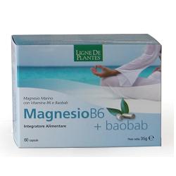 MAGNESIO B6 + BAOBAB 60 CAPSULE - Antica Farmacia Ferrari