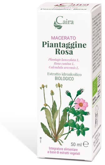 CAIRA PIANTAGGINE ROSA MACERATO IDROALCOLICO GOCCE 50 ML - Antica Farmacia Ferrari