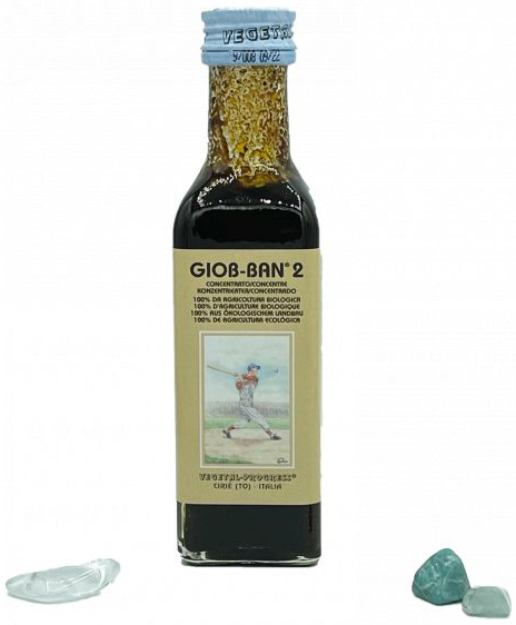 GIOB BAN 2 ART ESTRATTO CONCENTRATO BIOLOGICO 100 ML - Antica Farmacia Ferrari