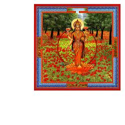 NEESHA-MA GOCCE 30 ML - Oltrefarma