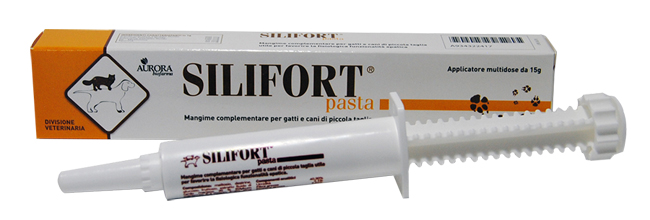 SILIFORT PASTA OS SIRINGA 15 G - Antica Farmacia Ferrari