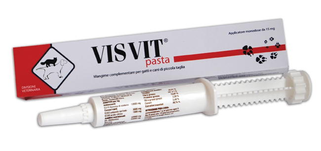 VISVIT PASTA OS SIRINGA 15 G - Antica Farmacia Ferrari