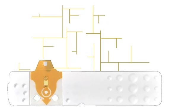 STRISCE MISURAZIONE GLICEMIA LINEA D ORO 25 PEZZI - Antica Farmacia Ferrari
