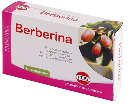 BERBERINA DA BERBERIS VULGARIS ESTRATTO SECCO 60 COMPRESSE - Antica Farmacia Ferrari