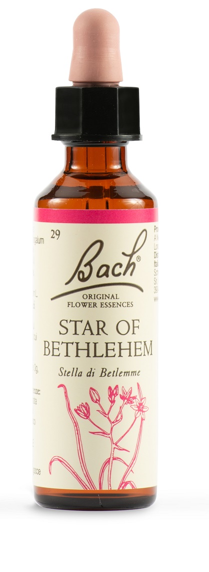 STAR OF BETHL ORIG 20 ML - Antica Farmacia Ferrari