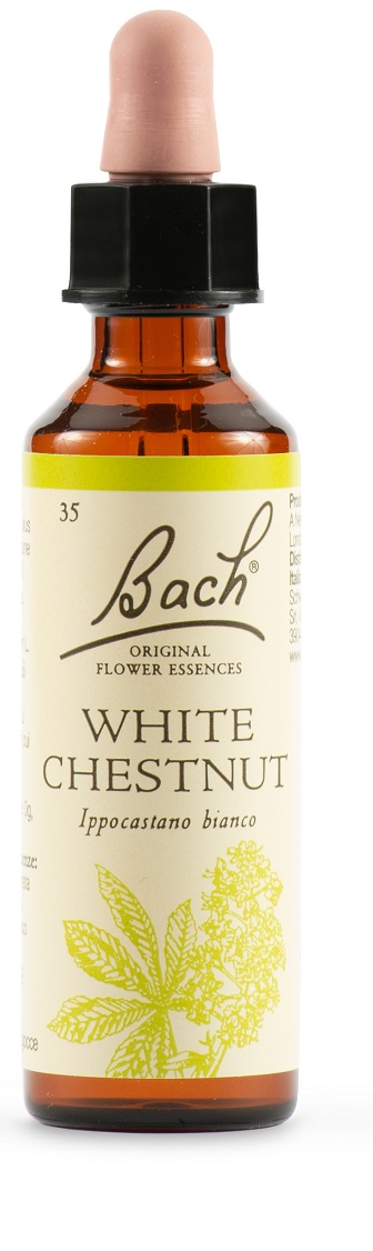 WHITE CHEST BACH ORIG 20 ML - Antica Farmacia Ferrari