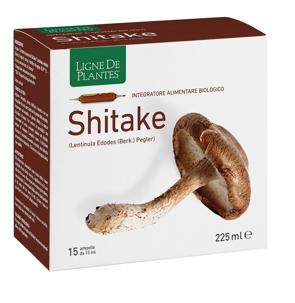 LIGNE DE PLANTES SHITAKE BIO 15 AMPOLLE DA 15 ML - Antica Farmacia Ferrari