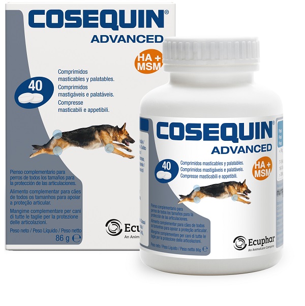 COSEQUIN GATTI 15 CAPSULE - Antica Farmacia Ferrari