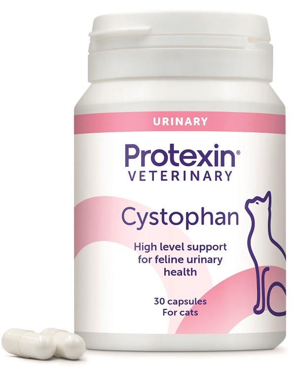 CYSTOPHAN 30 CAPSULE - Oltrefarma
