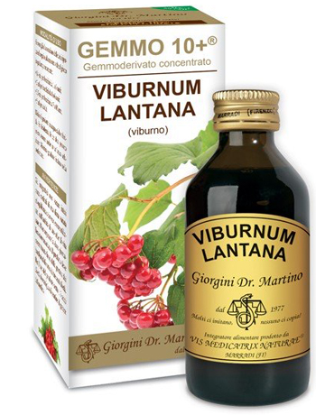 VIBURNO LIQUIDO ANALCOLICO GEMMO 10+ 100 ML - Antica Farmacia Ferrari
