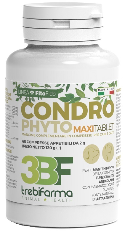 CONDROPHYTO 60 COMPRESSE 2 G - Antica Farmacia Ferrari