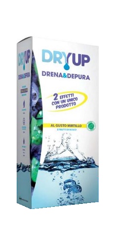 DRYUP MIRTILLO 300 ML - Oltrefarma
