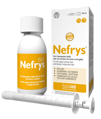 NEFRYS VEG 100 100 ML CON SIRINGA DOSATRICE ALIMENTO COMPLEMENTARE PER CANI E GATTI - Antica Farmacia Ferrari