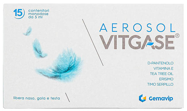 VITGASE AEROSOL 15 FLACONCINI 5 ML - Oltrefarma