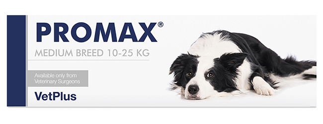 PROMAX MEDIUM BREED 18 ML - Antica Farmacia Ferrari