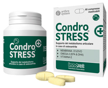 CONDROSTRESS + 60 COMPRESSE MASTICABILI - Antica Farmacia Ferrari