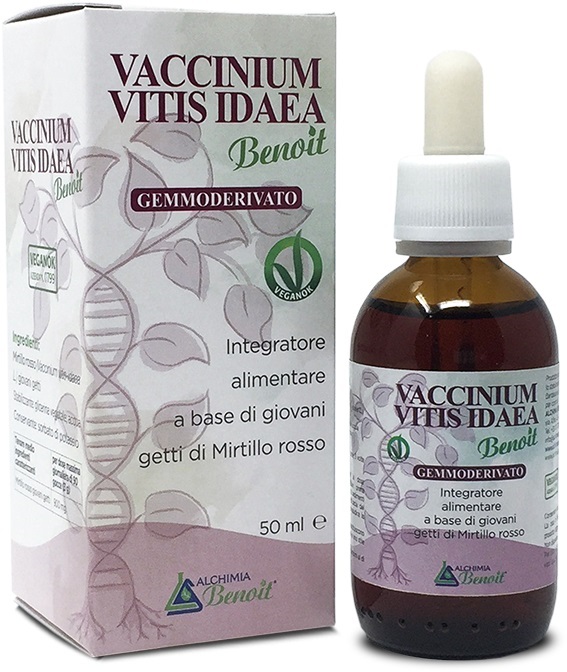 VACCINIUM VITIS IDAEA GEMMODERIVATO 50 ML - Oltrefarma