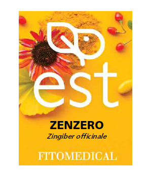 ZENZERO ESTRATTO SECCO 60 TAVOLETTE - Antica Farmacia Ferrari