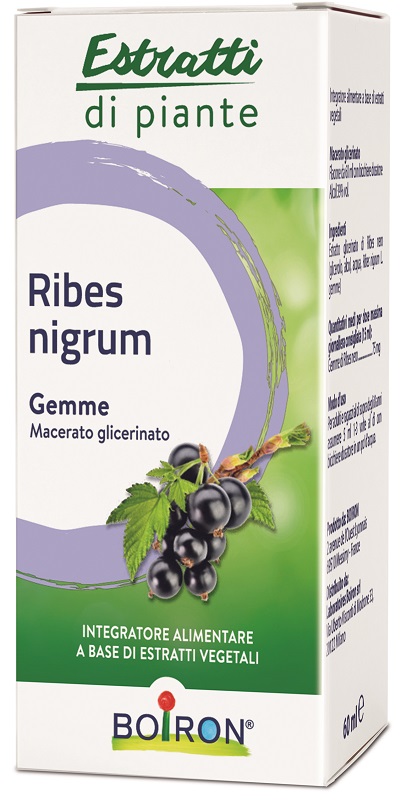 RIBES NIGRUM MACERATO GLICERICO 60 ML INT - Antica Farmacia Ferrari