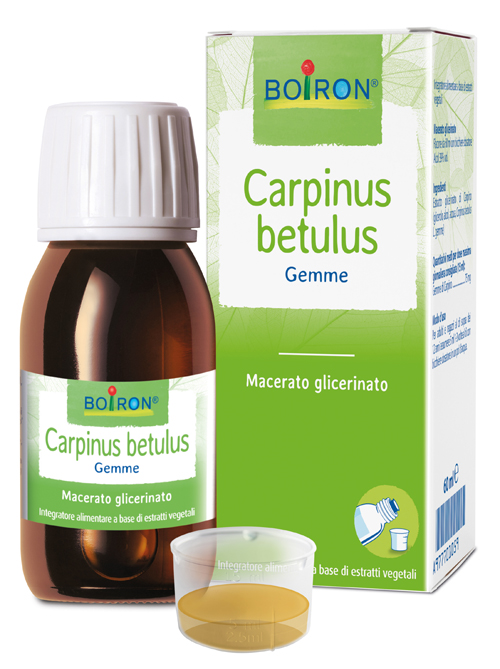 CARPINUS BETULUS MACERATO GLICERICO 60 ML INT - Antica Farmacia Ferrari