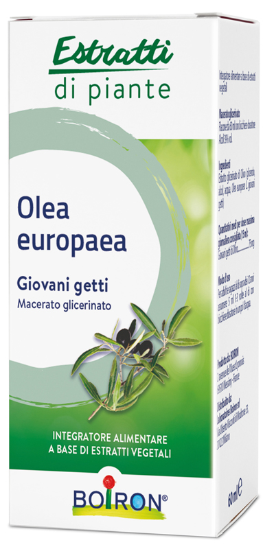 OLEA EUROPAEA MACERATO GLICERICO 60 ML INT - Antica Farmacia Ferrari
