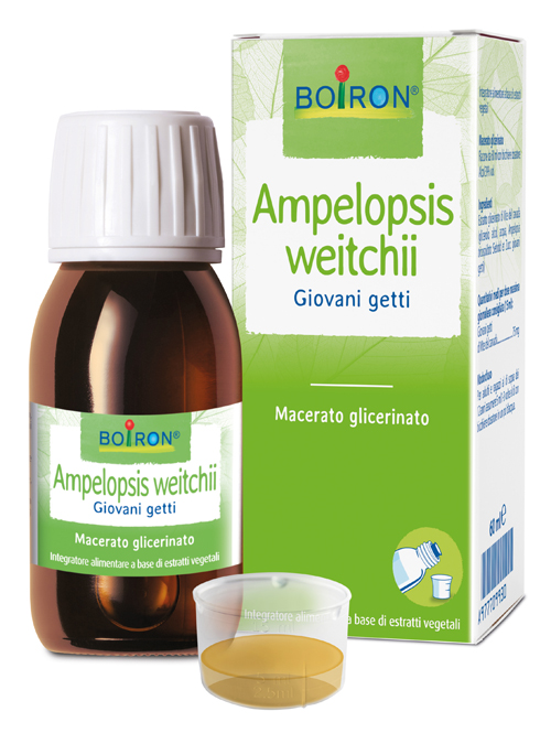 AMPELOPSIS WEITCHII MACERATO GLICERICO 60 ML INT - Antica Farmacia Ferrari