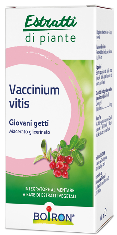 VACCINIUM VITIS MACERATO GLICERICO 60 ML INT - Antica Farmacia Ferrari
