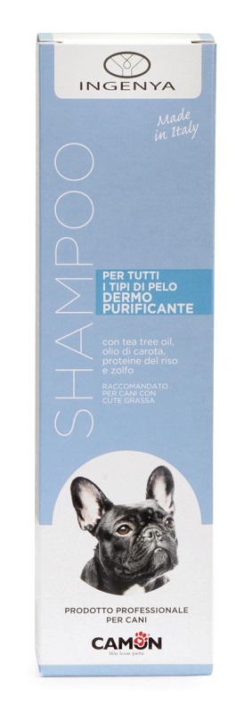 SHAMPOO DERMOPURIFICANTE 250 ML - Oltrefarma