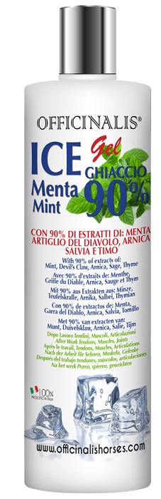 ICE GEL 90% 250 ML - Oltrefarma